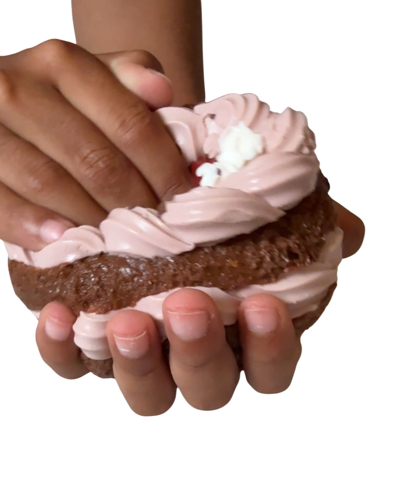 Double Chocolate Cherry Cake