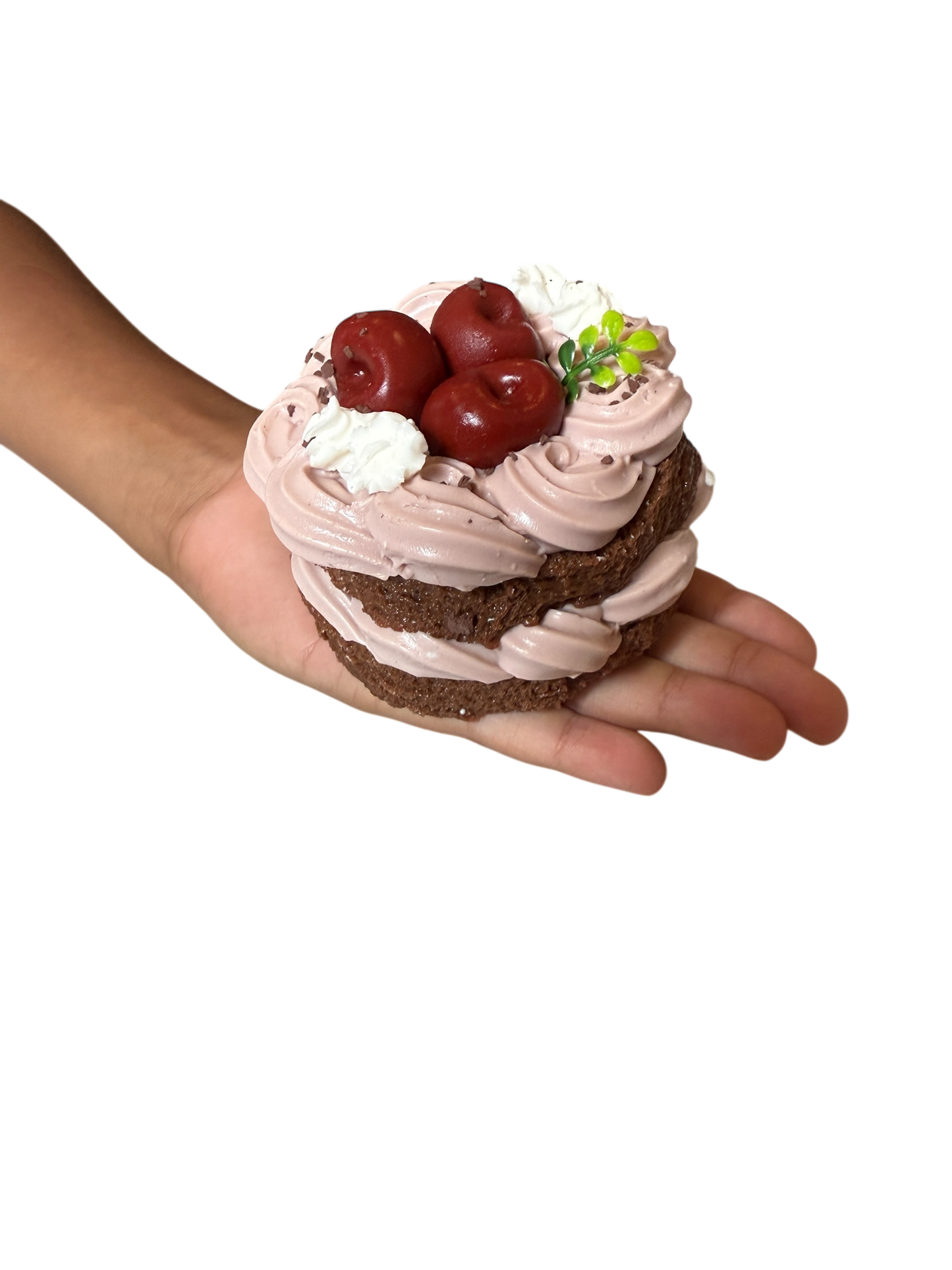 Double Chocolate Cherry Cake